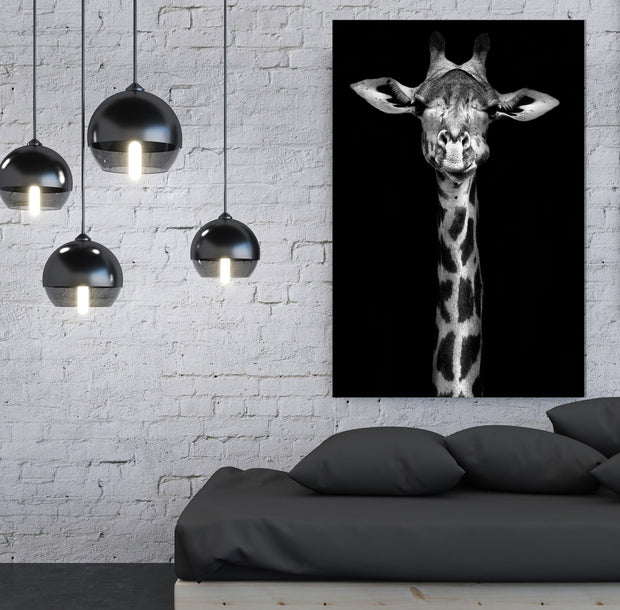 Giraffe Ned - Acrylic Wall Art