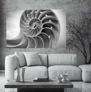 Shell - Acrylic Wall Art - Art Boutike
