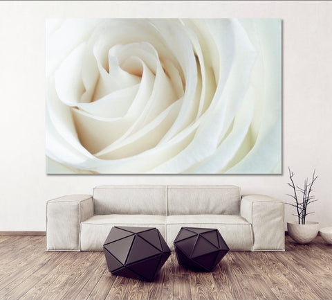 White Rose - Acrylic Wall Art - Art Boutike