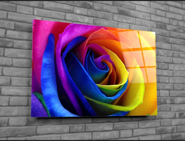 Rainbow Rosee - Acrylic Wall Art