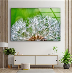 Pastel Green - Acrylic Wall Art