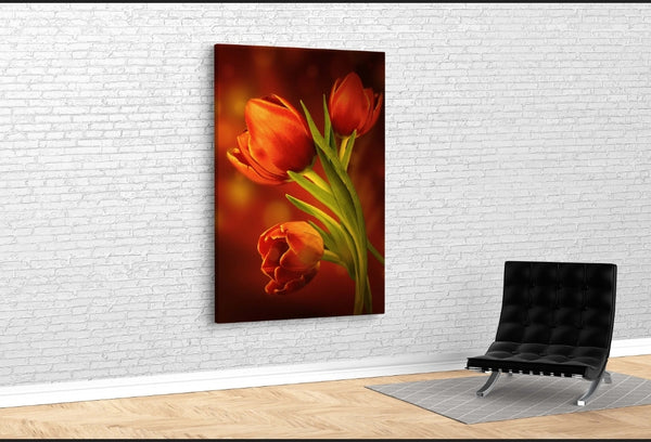 Red Panes - Acrylic Wall Art