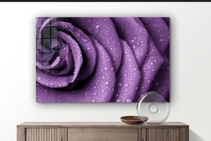 Purple Haze 2 - Acrylic Wall Art