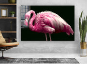 Flamingo - Acrylic Wall Art