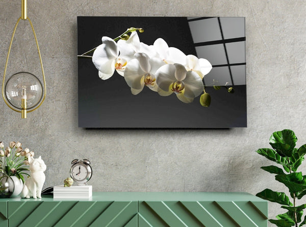 Orchids Roll - Acrylic Wall Art