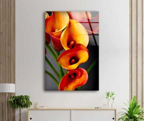 Orange Morphs - Acrylic Wall Art